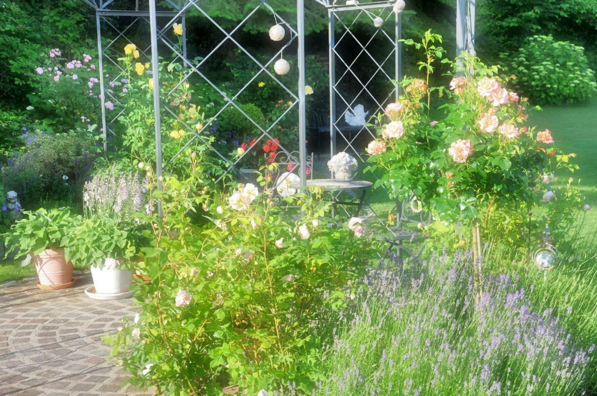 Ferienwohnung Im Rosengarten Ebenweiler Экстерьер фото